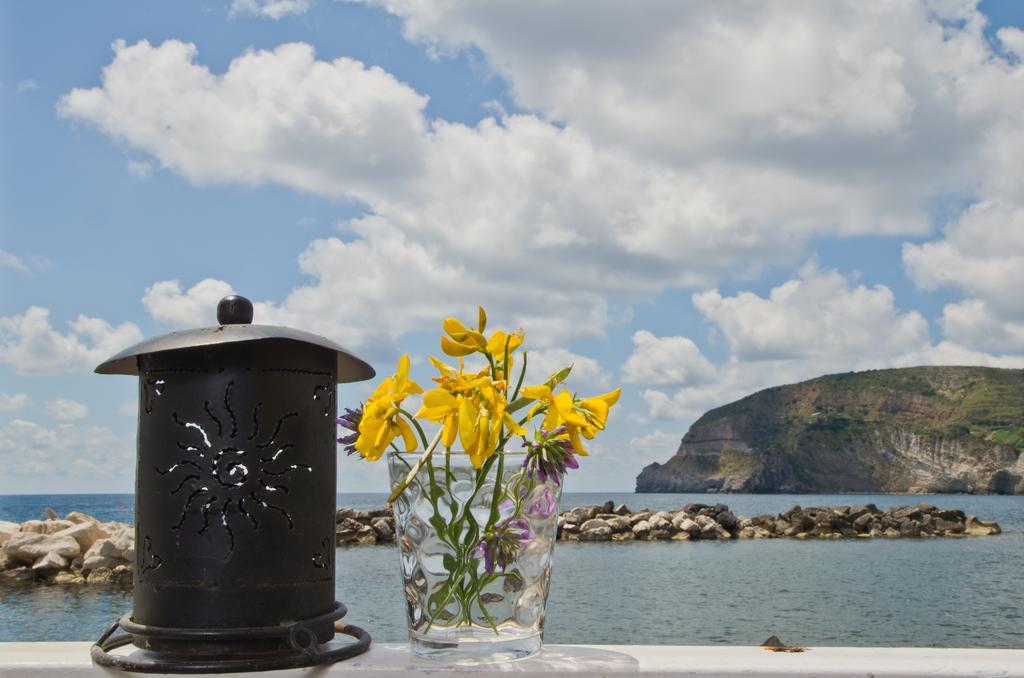 Appartamenti Le Pleiadi - Sant'Angelo D'Ischia Oda fotoğraf